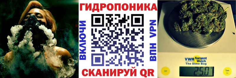 Шишки марихуана сатива  mega   Белокуриха 